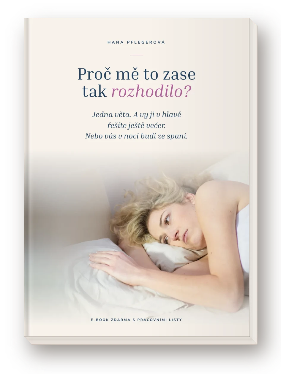 E-book Proč mě to zase tak rozhodilo? od Hany Pflegerové